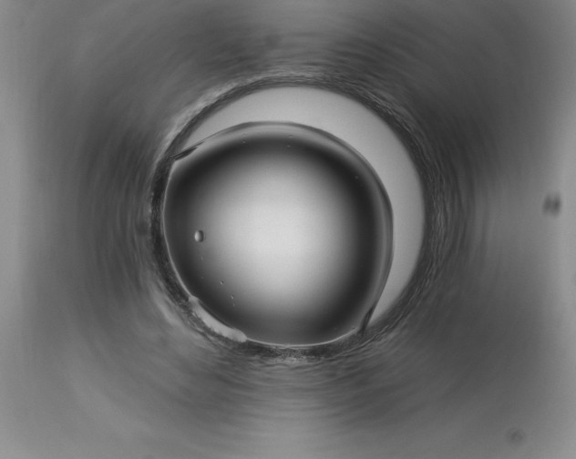 X0000113120492200909111143