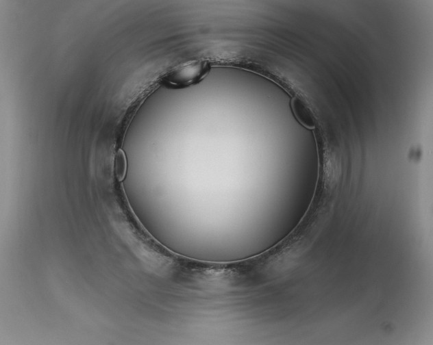 X0000113120493200909111143