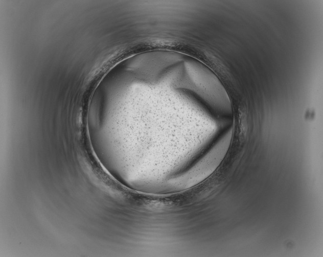 X0000113120494200909111143