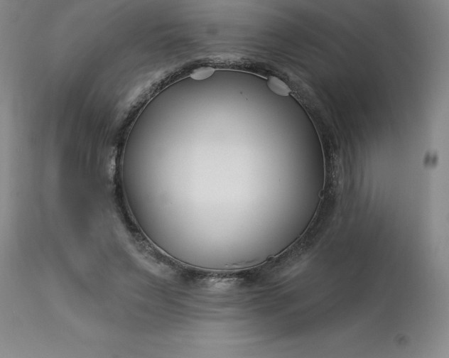 X0000113120495200909111143