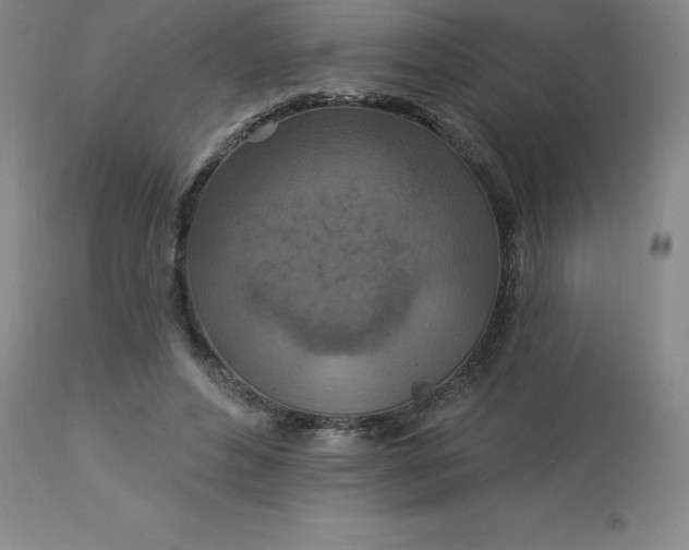 X0000113120496200909111143