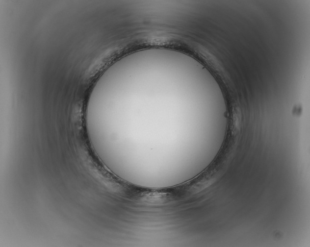 X0000113120497200909111143