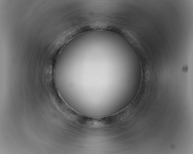 X0000113120498200909111143