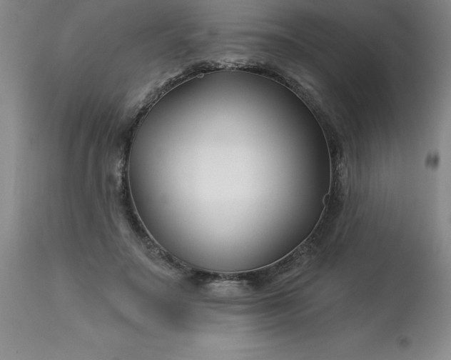 X0000113120499200909111143