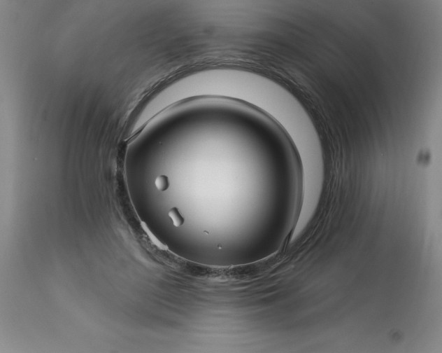 X0000113120500200909111143