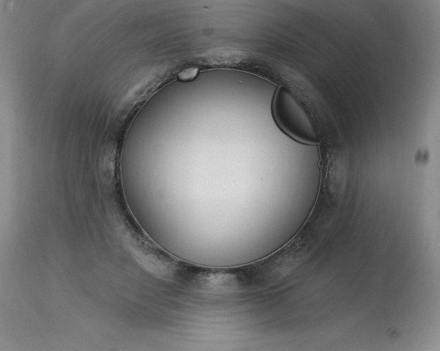 X0000113120501200909111143