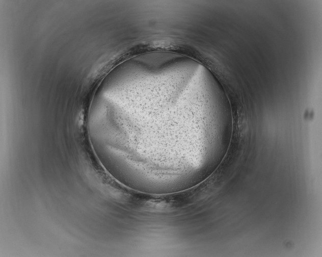 X0000113120502200909111143