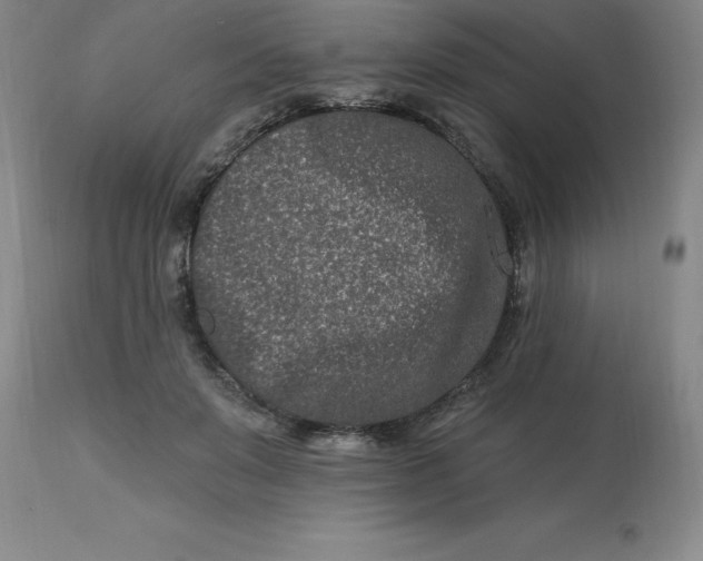 X0000113120503200909111143