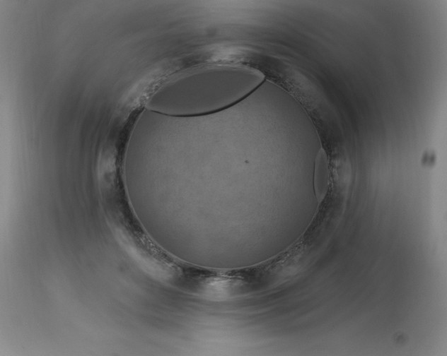 X0000113120504200909111143