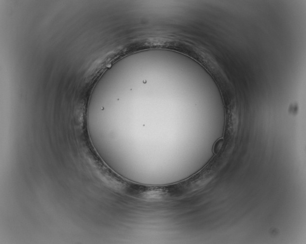 X0000113120505200909111143