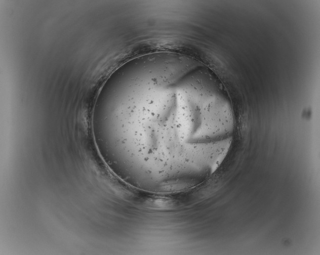 X0000113120506200909111143