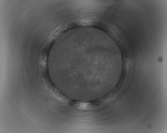 X0000113120507200909111143