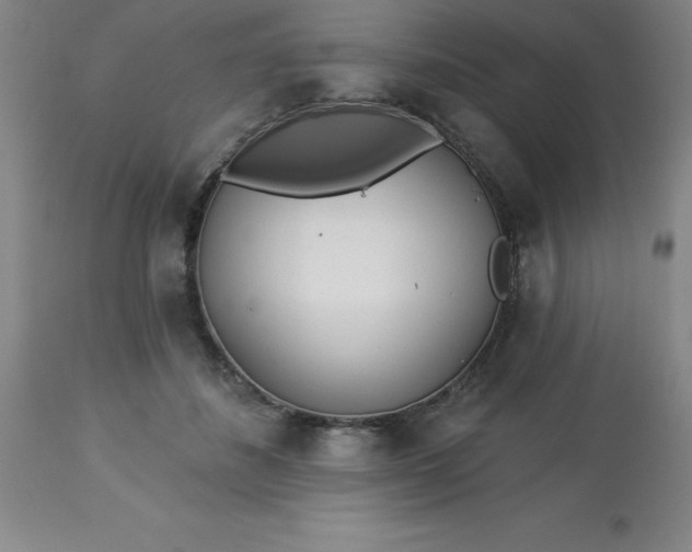 X0000113120508200909111143