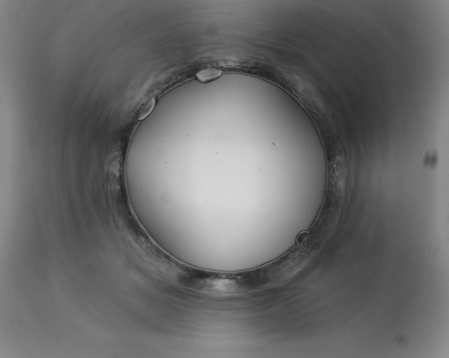 X0000113120509200909111143