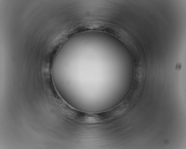 X0000113120510200909111143