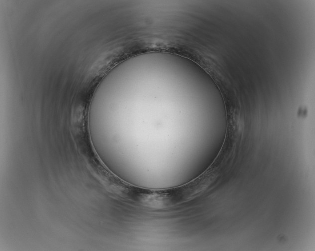 X0000113120511200909111143