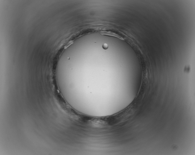 X0000113120512200909111143