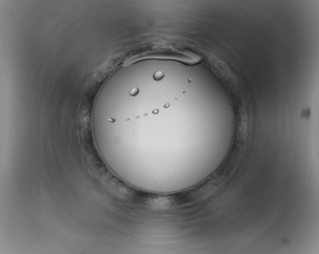 X0000113120513200909111143