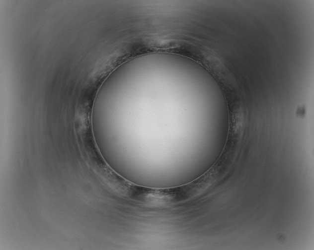 X0000113120515200909111143