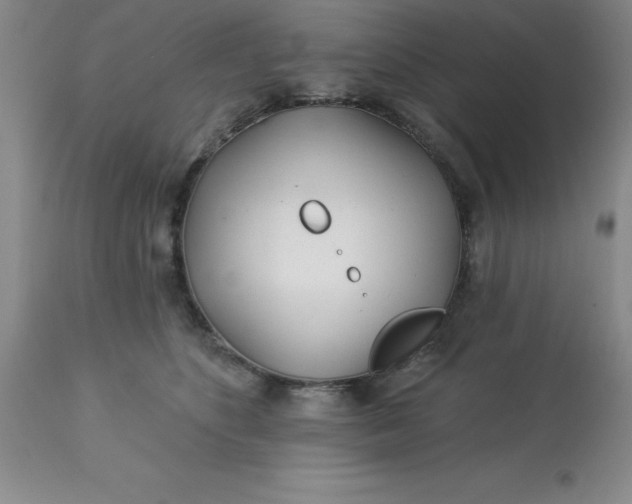 X0000113120516200909111143