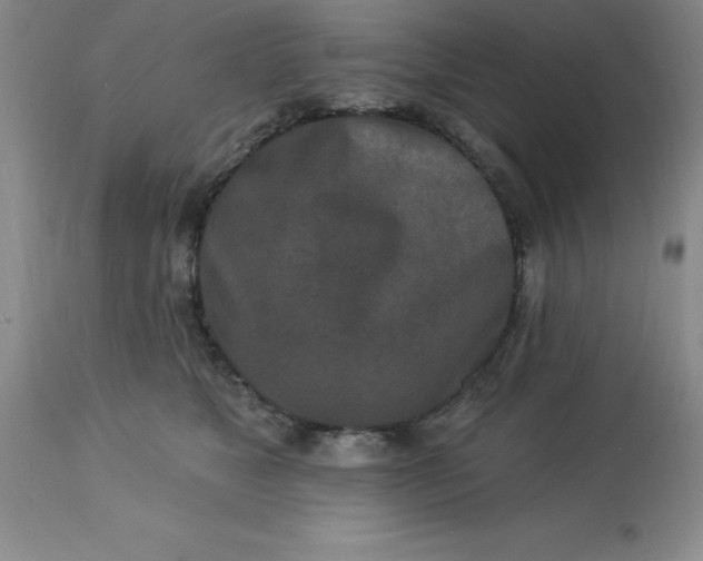 X0000113120517200909111143