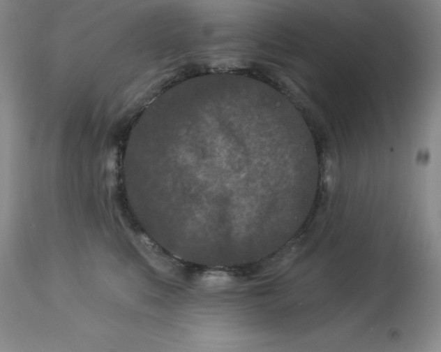 X0000113120519200909111143