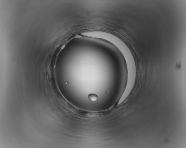 X0000113120520200909111143