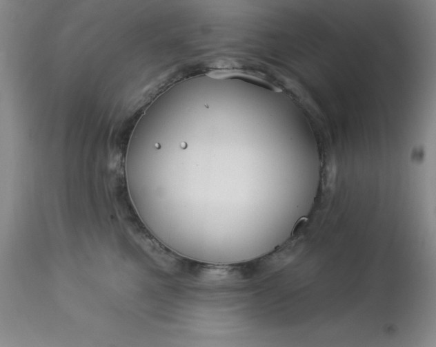 X0000113120521200909111143