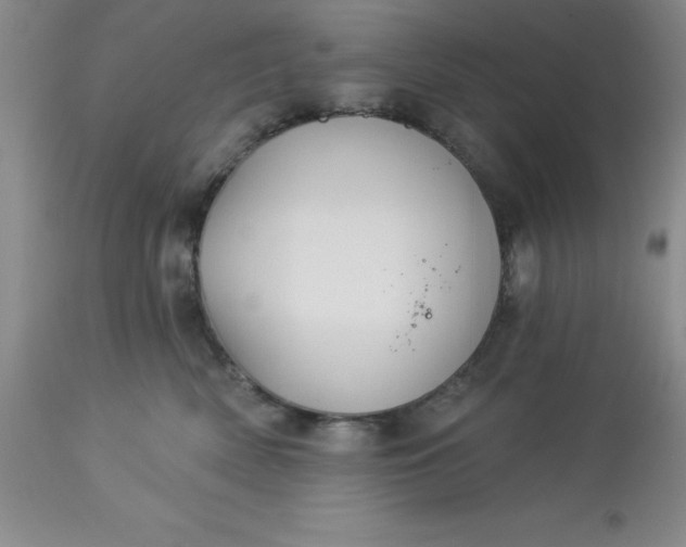 X0000113120522200909111143