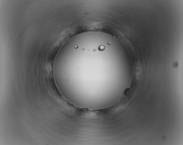 X0000113120523200909111143