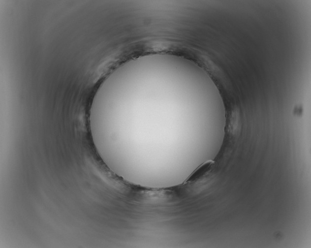 X0000113120524200909111143