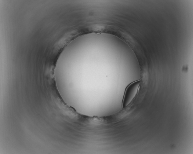 X0000113120525200909111143