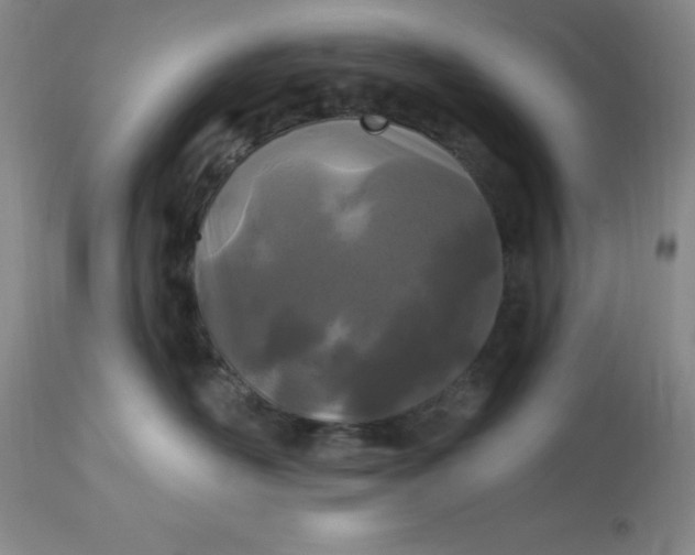 X0000113120526200909111143