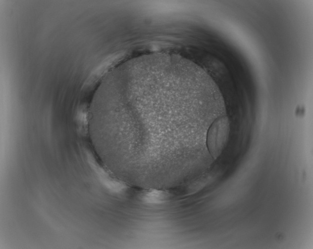 X0000113120527200909111143