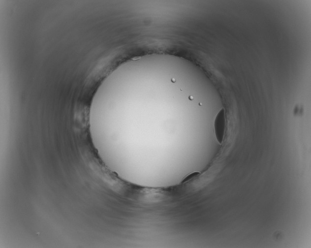 X0000113120528200909111143