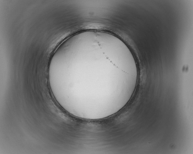 X0000113120529200909111142