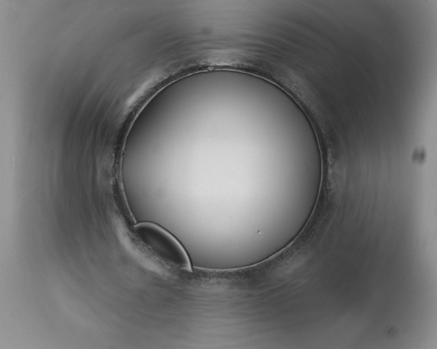 X0000113120530200909111142