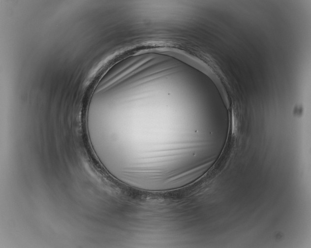 X0000113120531200909111142