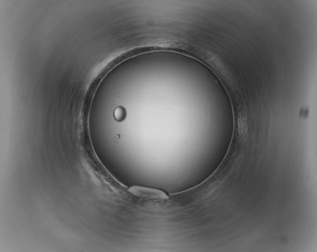 X0000113120532200909111142