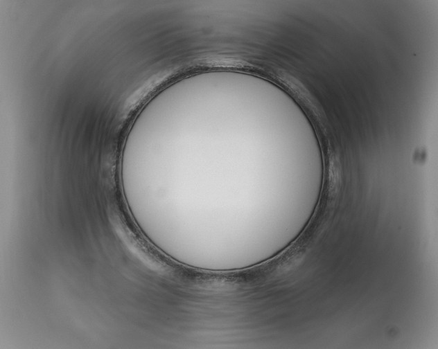 X0000113120533200909111142