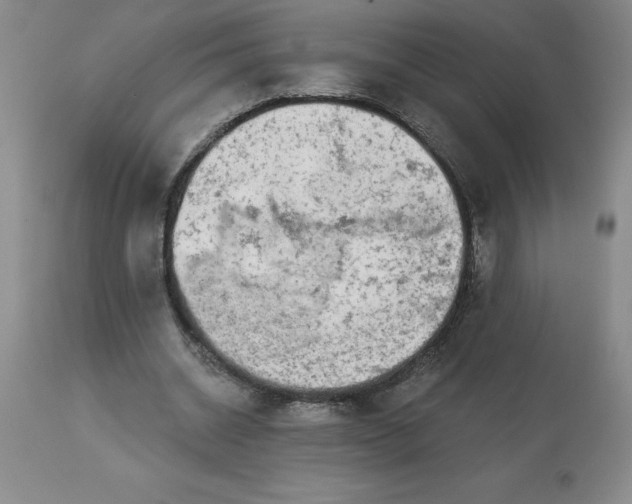 X0000113120534200909111142