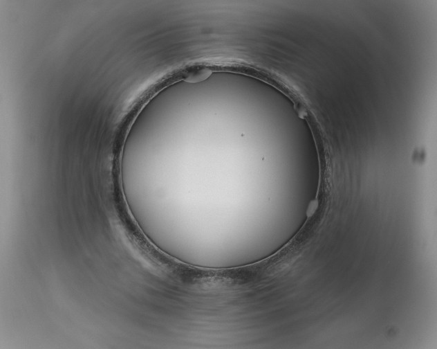 X0000113120535200909111142