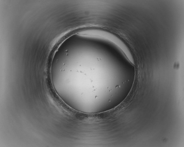 X0000113120536200909111142