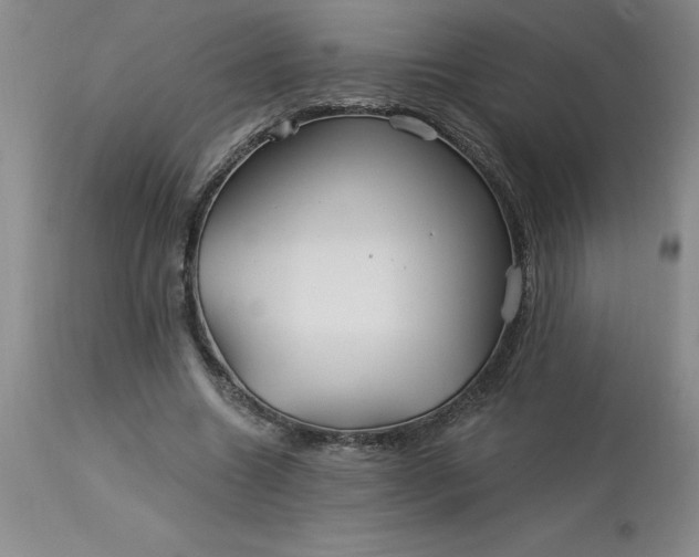 X0000113120538200909111142