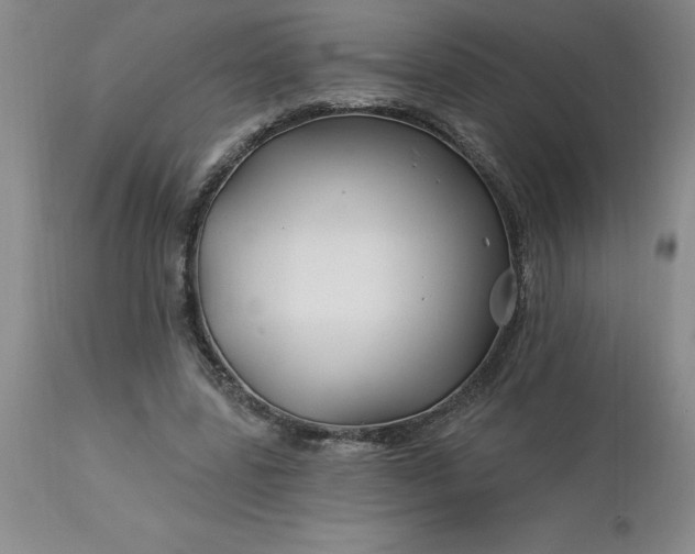 X0000113120539200909111142