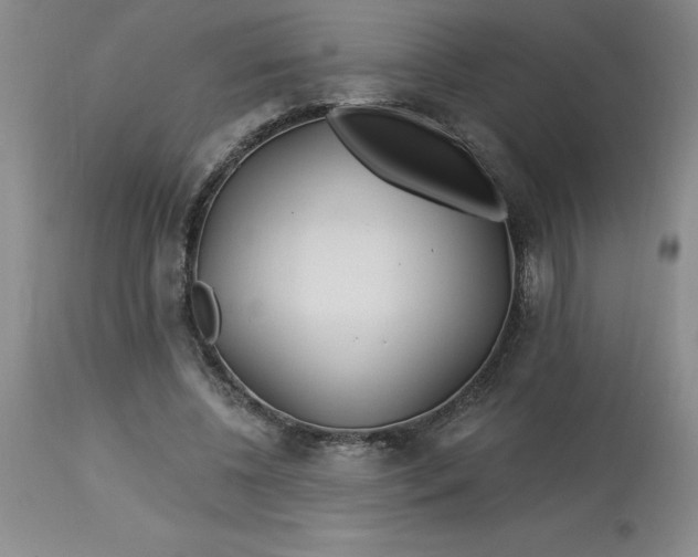 X0000113120540200909111142