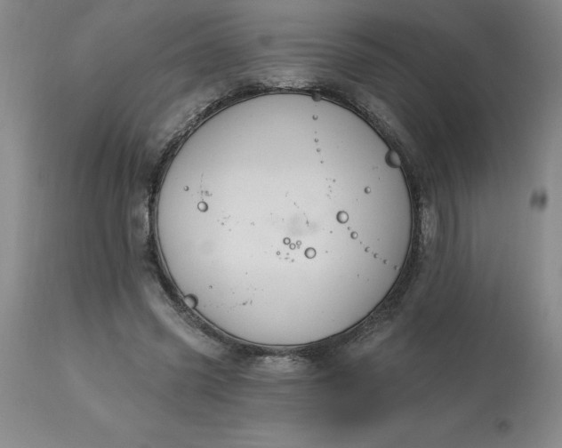 X0000113120541200909111142