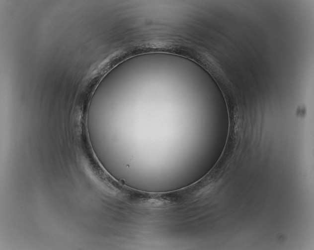 X0000113120542200909111142