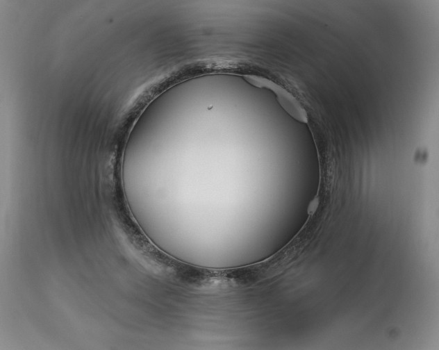 X0000113120543200909111142