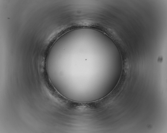 X0000113120544200909111142